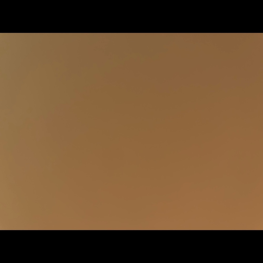 Meet your Posher, Sheilah